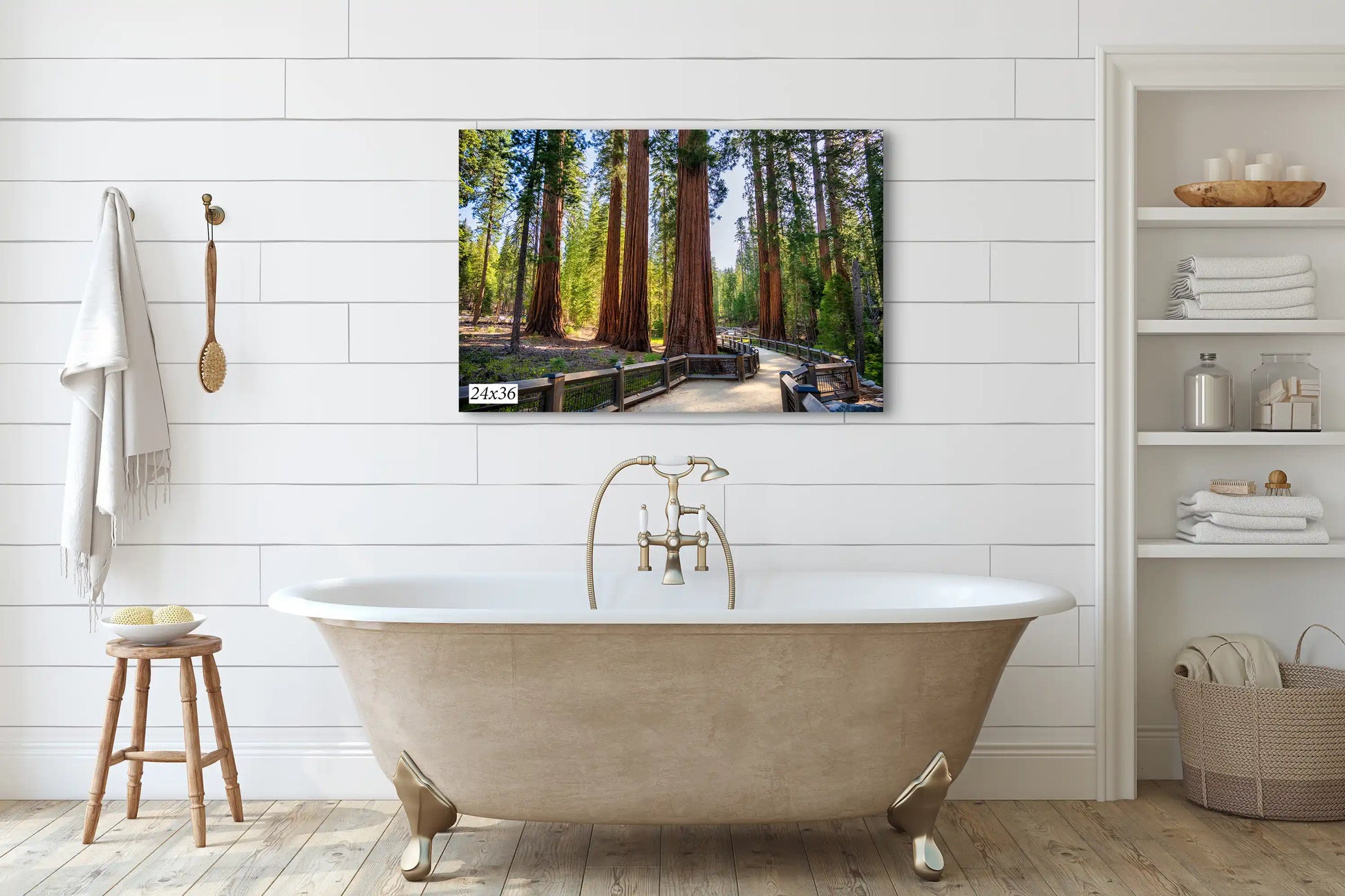 30x40 canvas print of Giant Sequoia trees along the Mariposa Grove Trail, Yosemite National Park. A bold statement piece for any living room.