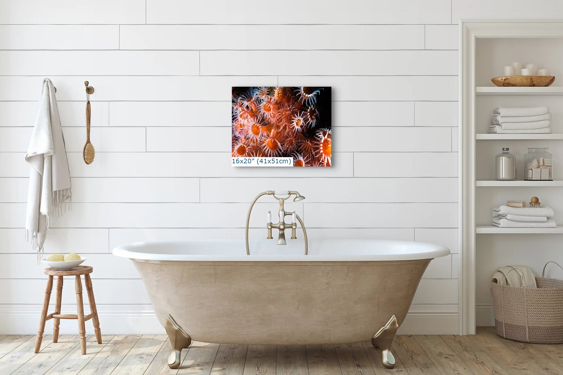 A 16x20 inch canvas print in a bathroom depicting brightly colored zoanthids in an underwater scene.