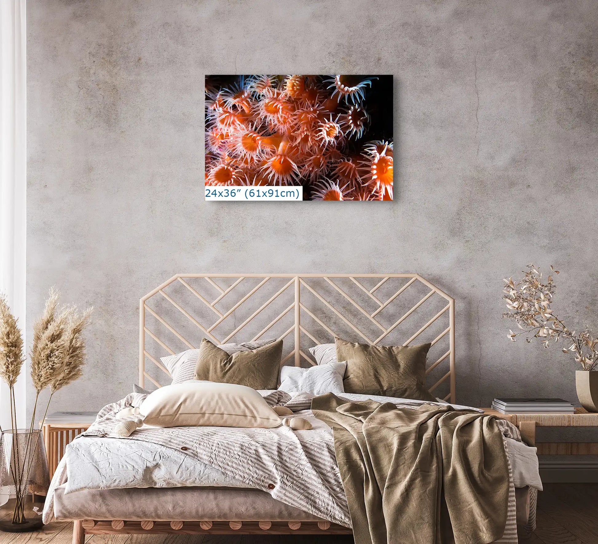 A 24x36 inch canvas print above a bed, showing a detailed and colorful underwater zoanthid scene.