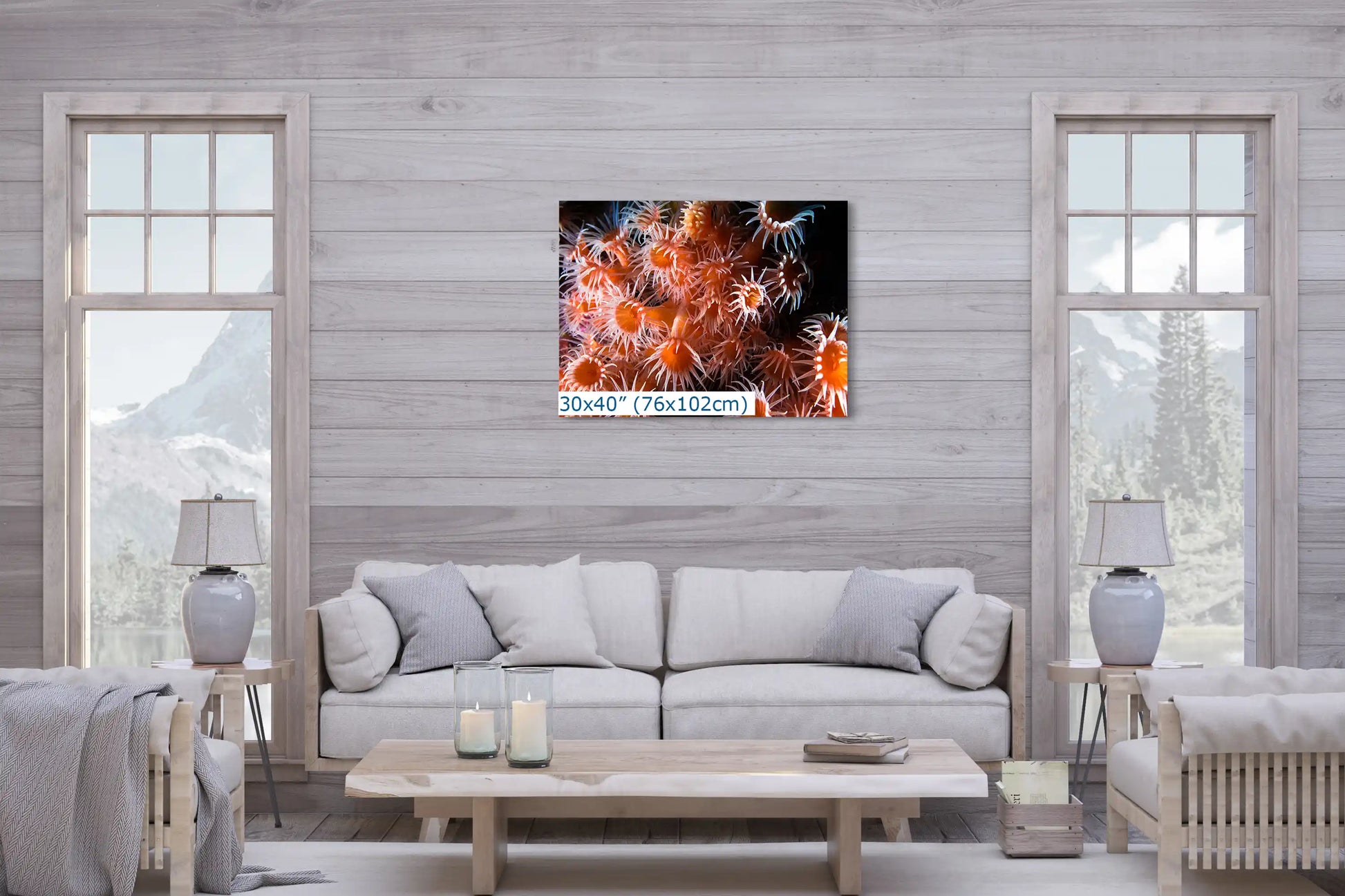 A 30x40 inch canvas print in a living room, featuring a close-up of light orange zoanthids.