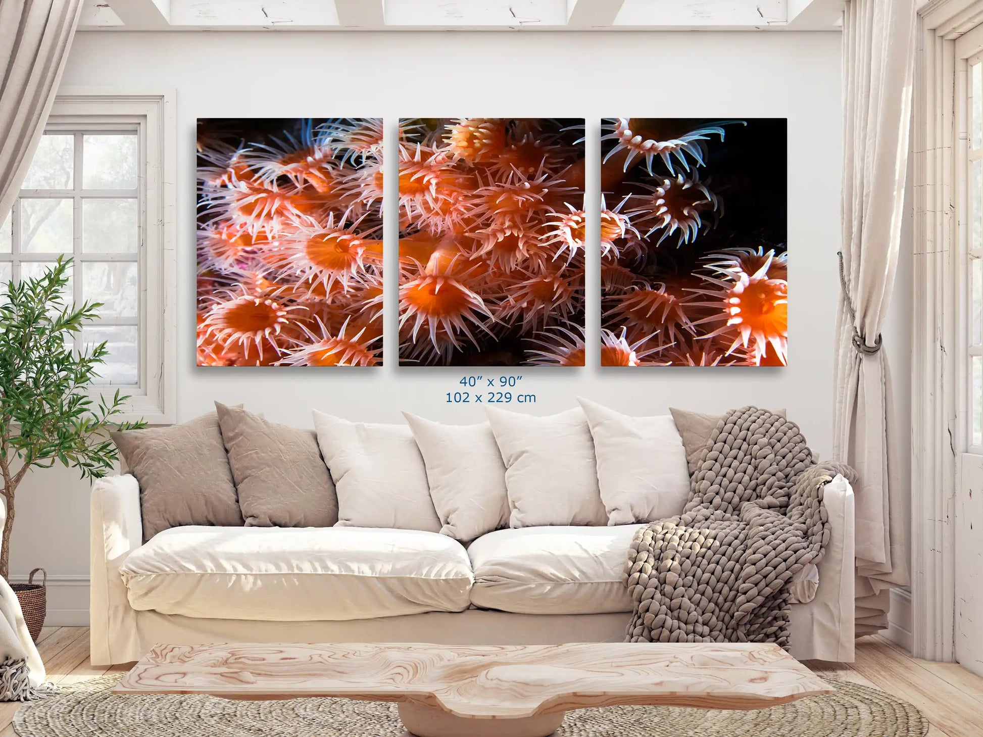 An expansive 40x90 inch canvas print in a living room, capturing the vivid detail and beauty of light orange zoanthids underwater.