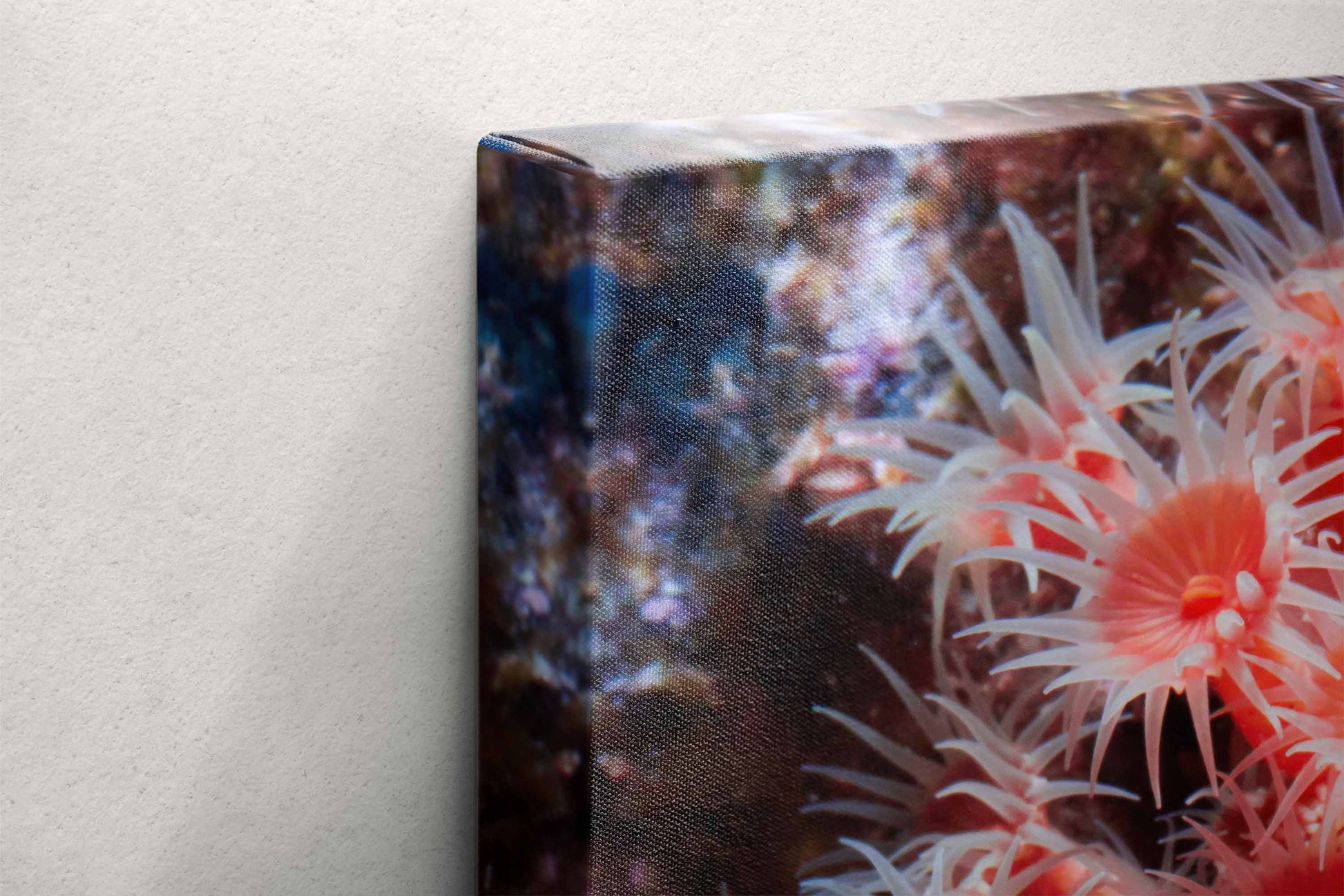 Corner detail of the canvas wrap showing the texture and vibrancy of the red zoanthid underwater photograph.