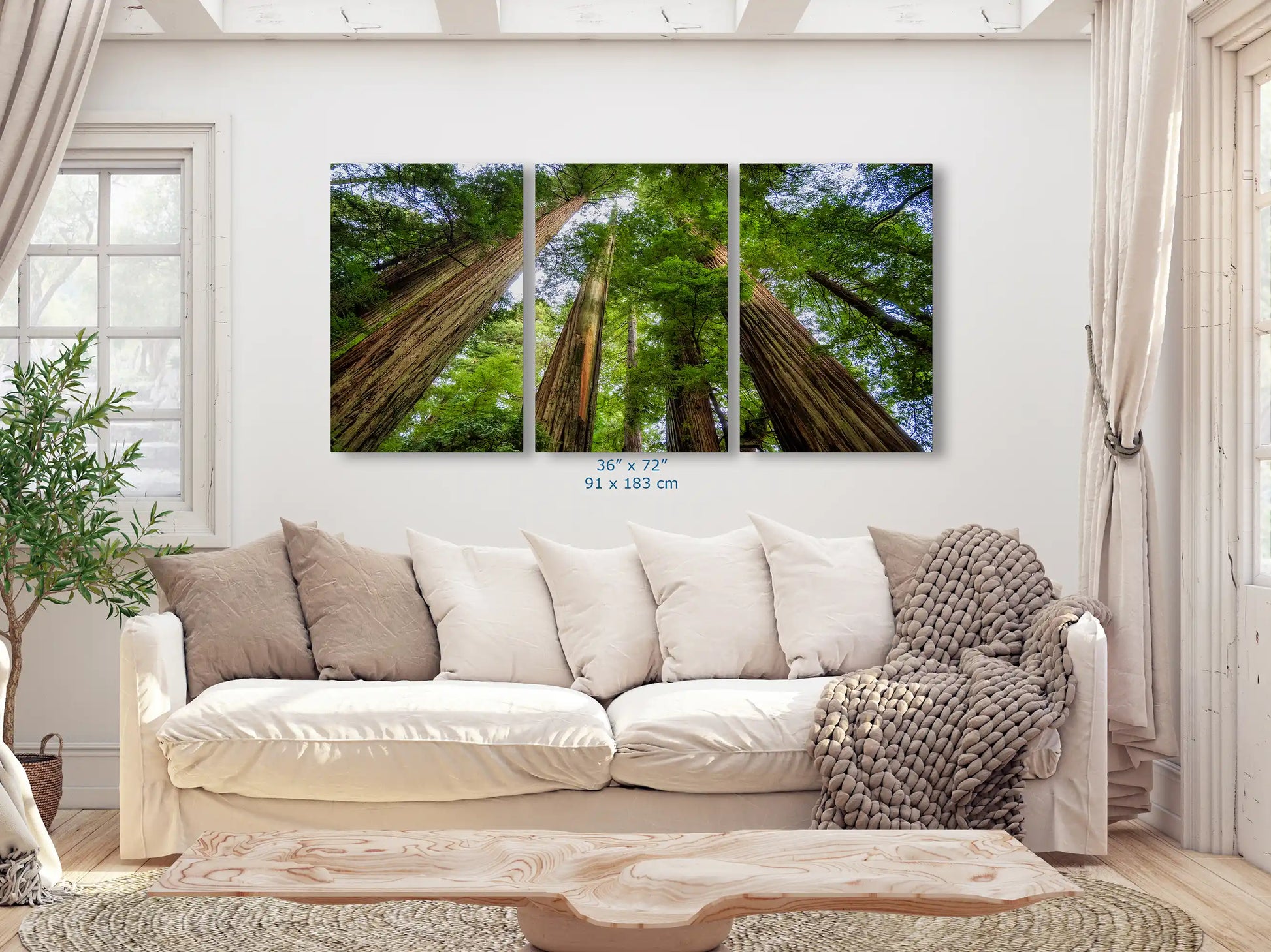 A 36x72-inch triptych of a wall art in a spacious living room featuring an expansive wall art of California Redwoods, capturing the forest's towering tranquility.