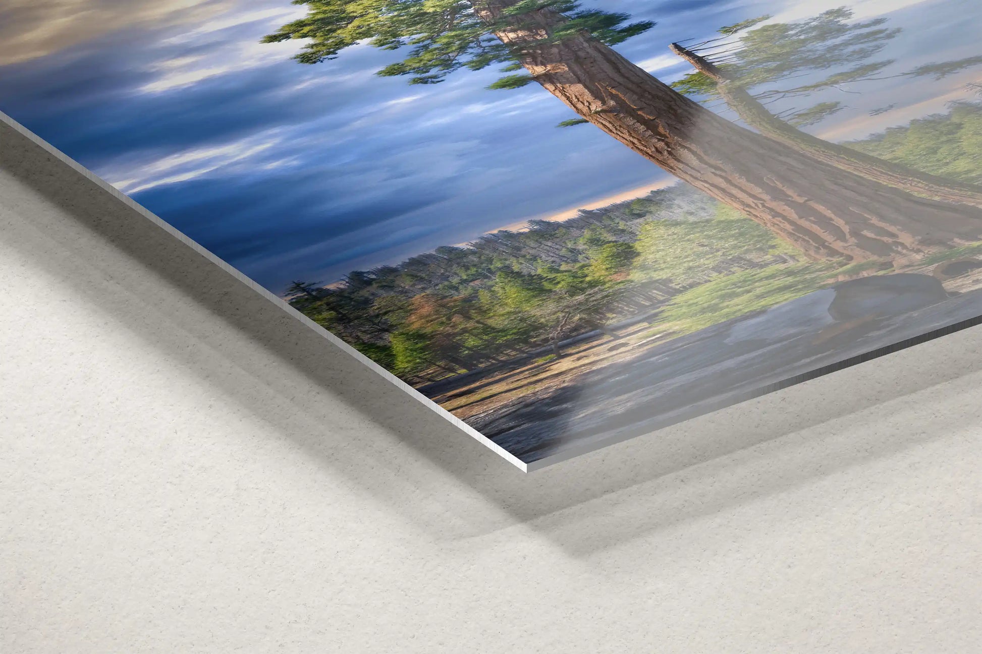 Close-up detail of an aluminum print edge, featuring a vibrant image of a Sequoia tree, emphasizing the print's glossy finish and metal texture.