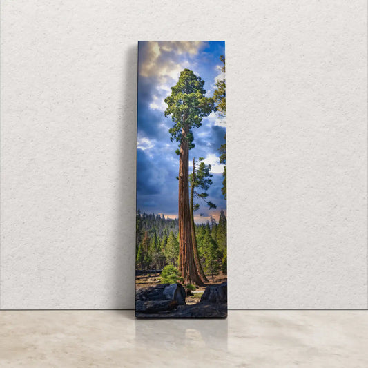 A tall, narrow canvas print of a young Giant Sequoia tree against a backdrop of a forest and cloudy sky, showcased in a portrait orientation.