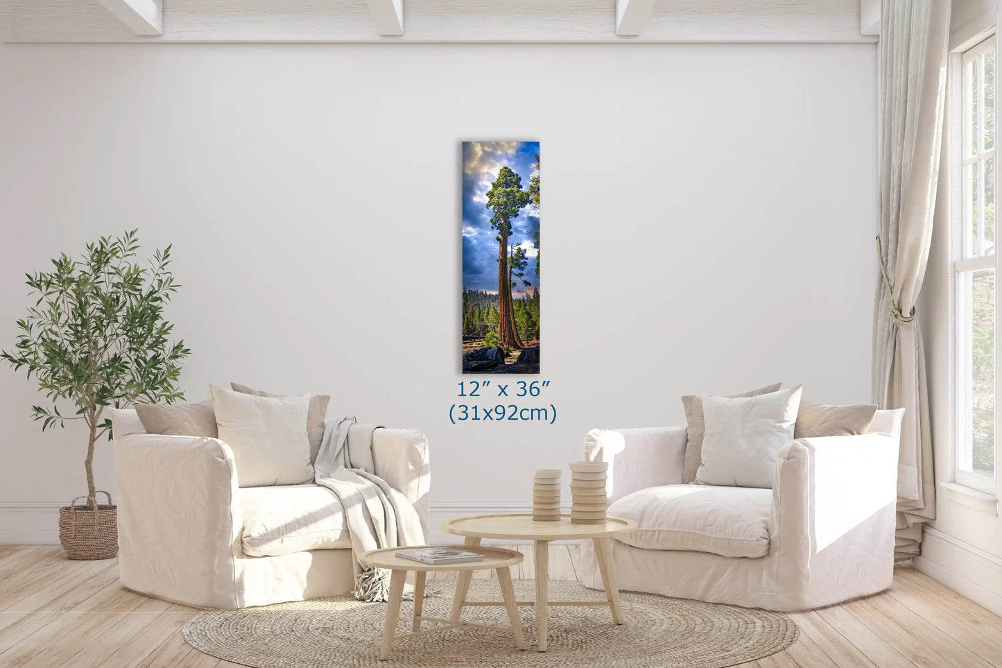 A 12"x36" vertical canvas wall art of a towering Sequoia tree, displayed in a cozy sitting room with natural light.