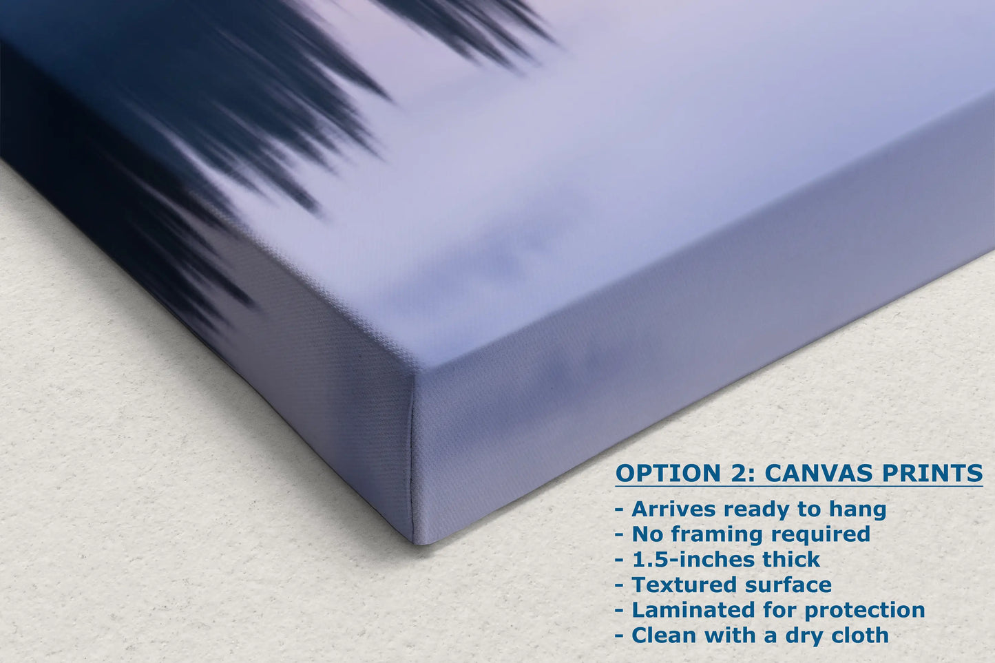 a close up of a mattress with the words option 2 canvas prints