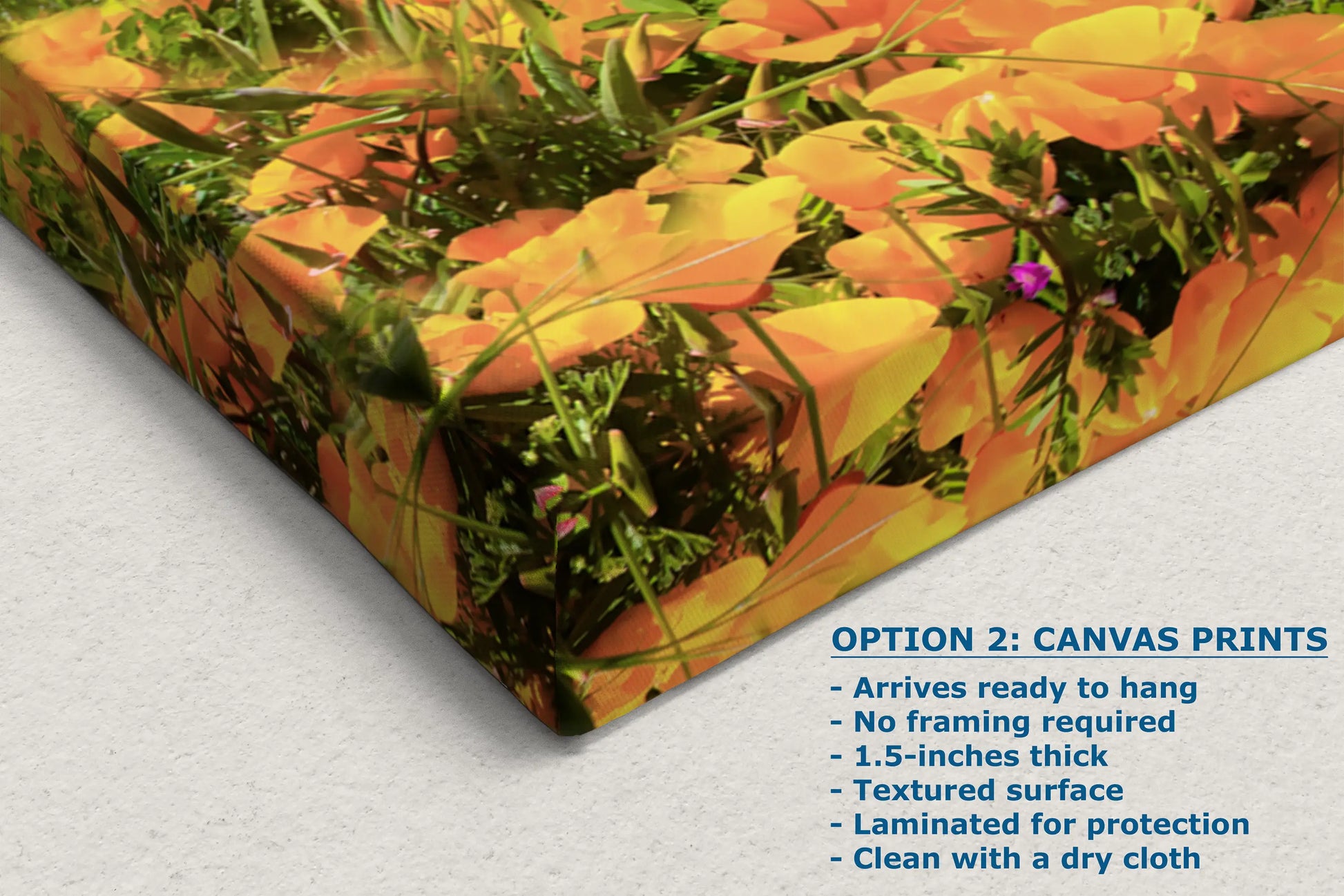 a close up of a box with flowers on it