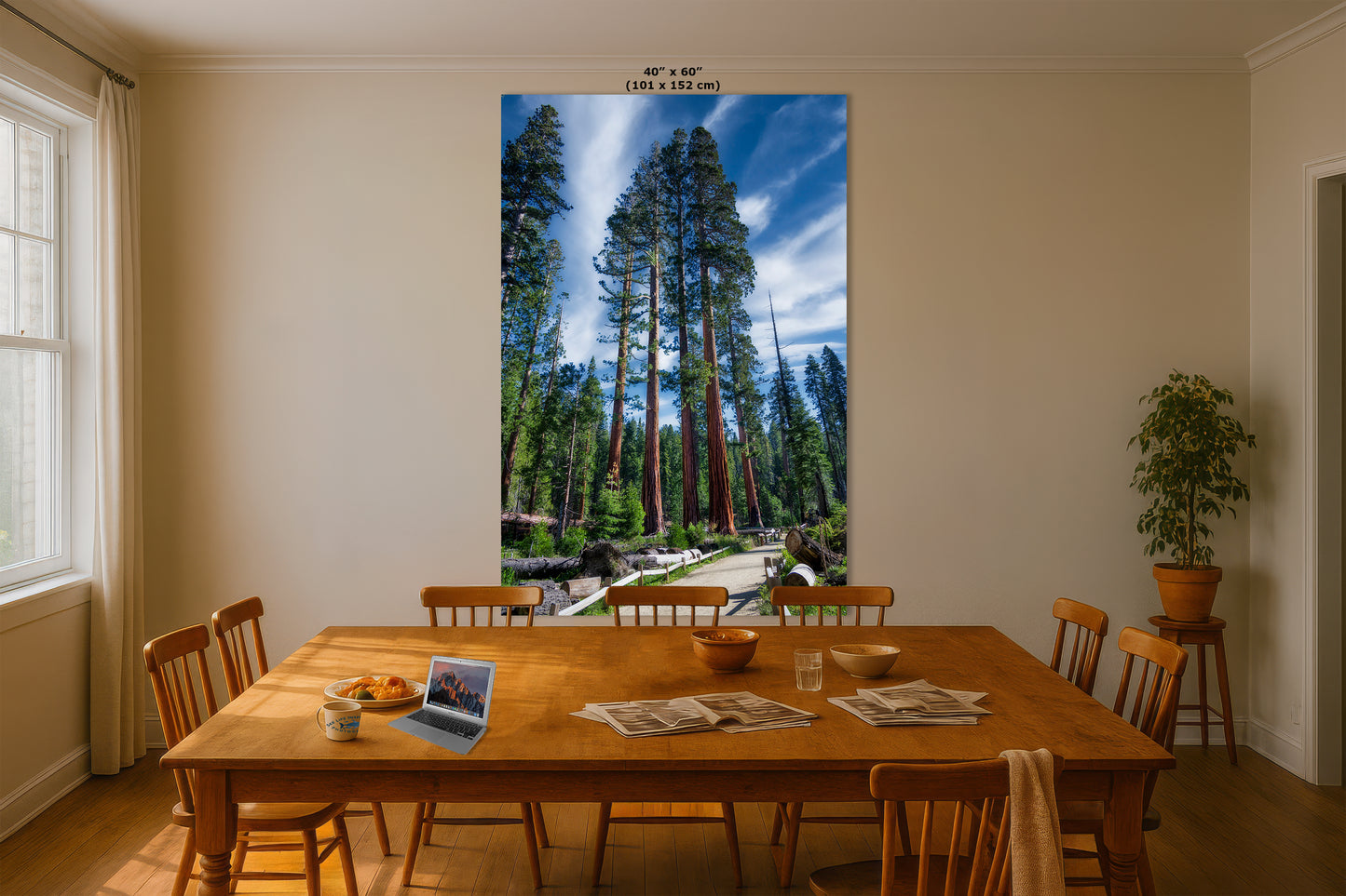 Giant Sequoia Tree Forest Picture Nature Photo, Redwood Trees Forest Bathing Decor, Relaxation Artwork for Home or Office