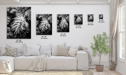 a living room with a white couch and four black and white pictures on the wall