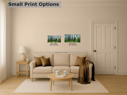 Redwood Trees Forest Picture Nature Photo, Forest Bathing in Misty California Redwoods Wall Art, for Relaxation in the Home and Office