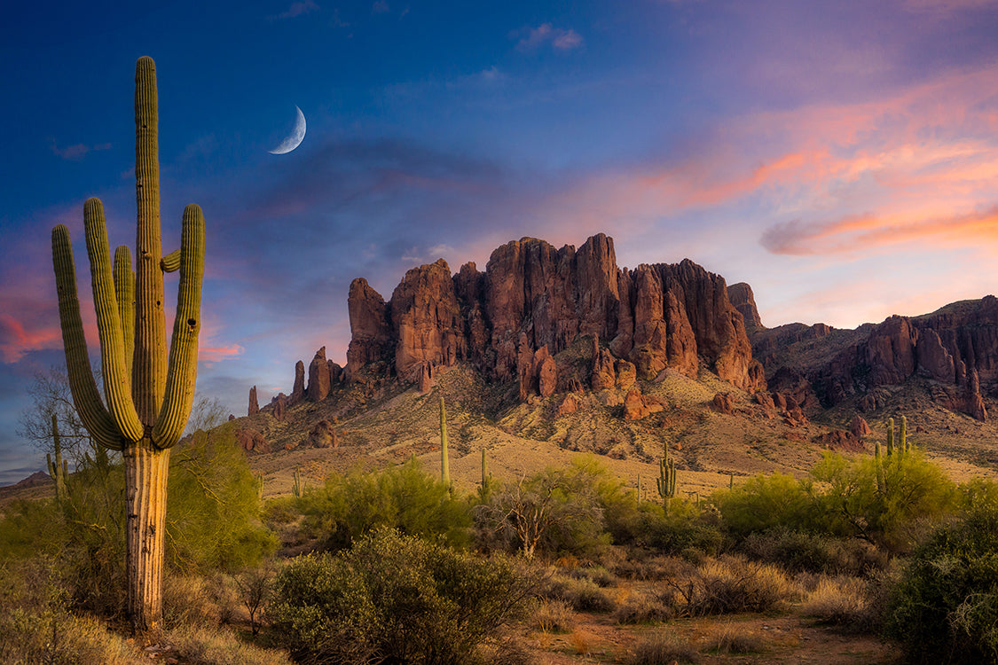 A scenic Arizona desert landscape at Lost Dutchman sunset with a tall saguaro cactus in the foreground, rugged red rock formations in the distance, shrubs, and a crescent moon in a blue and pink sky.