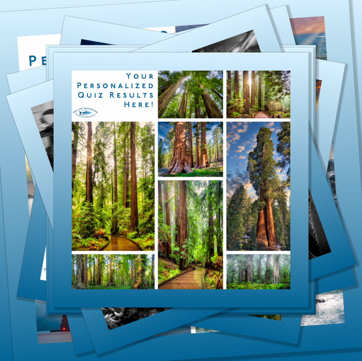 Collage of forest images with personalized quiz results placeholder text on a blue background