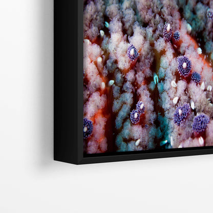 Vibrant Underwater Starfish Close-up: Abstract Ocean Photography Wall Art Print