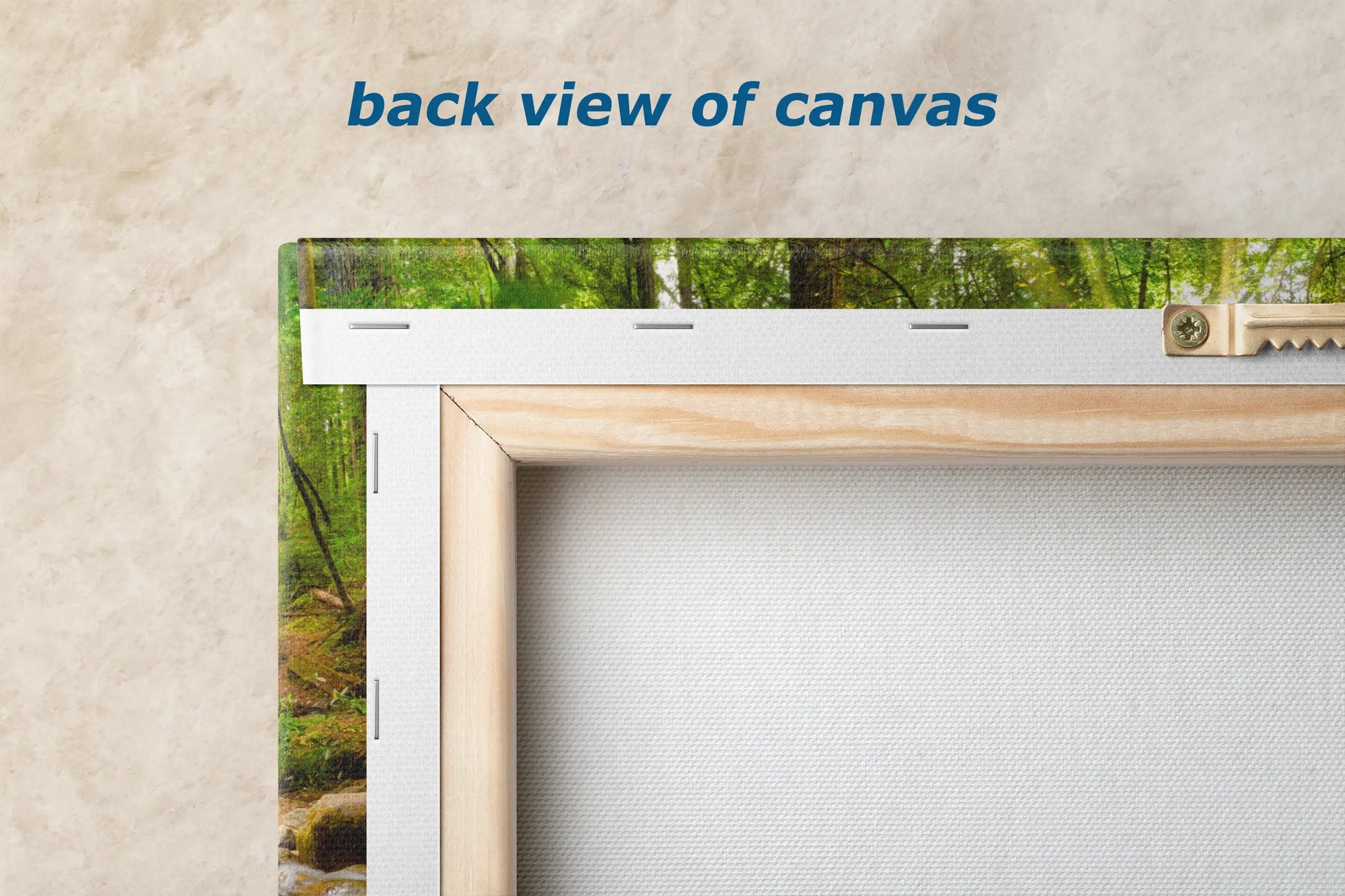 the back view of a picture frame with a picture of a forest