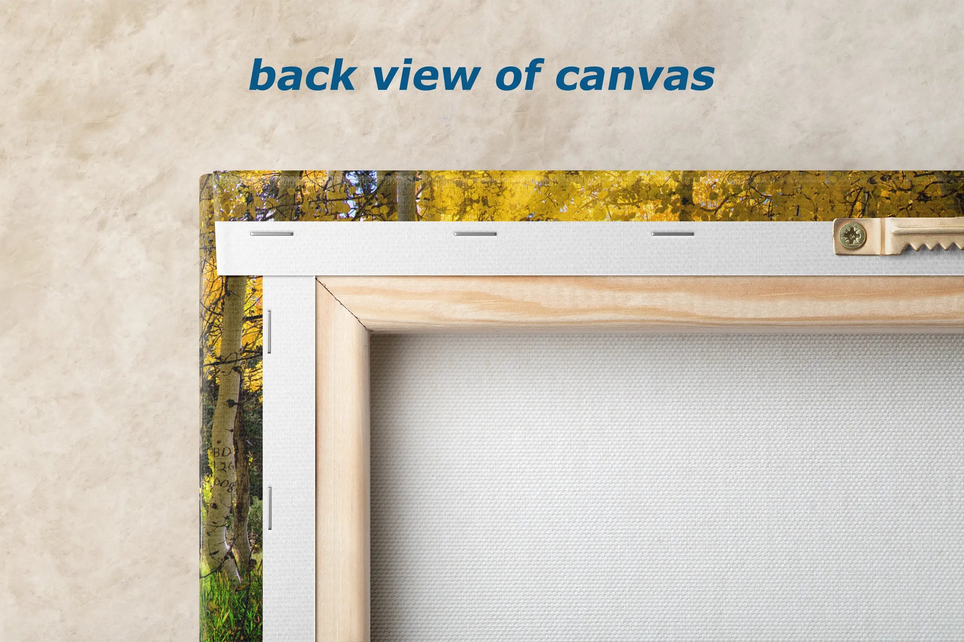 the back view of a picture frame with a picture of trees in the background