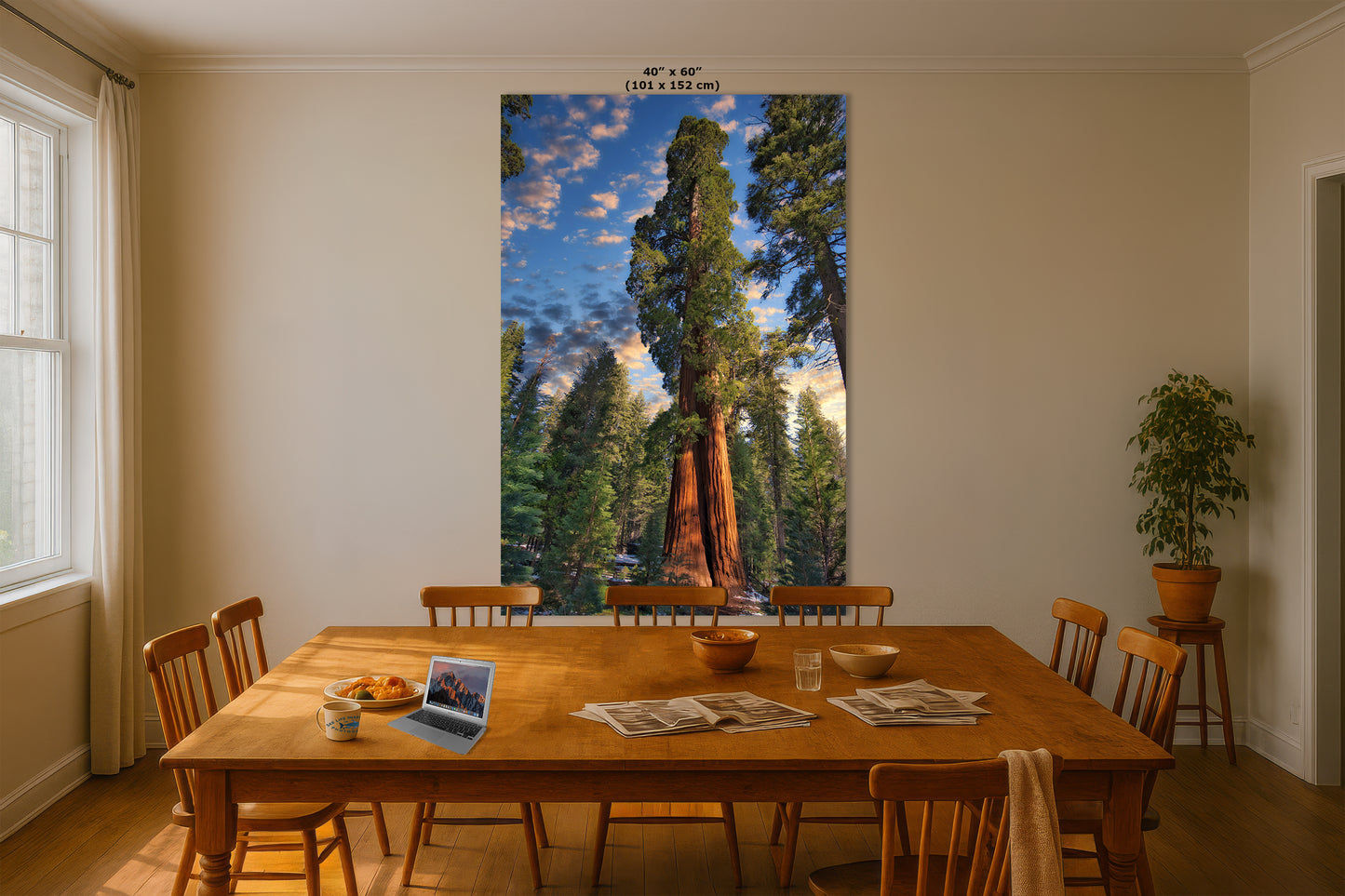 Giant Sequoia Tree Art, Redwood Forest Picture, Nature Photo Inspired Wall Decor