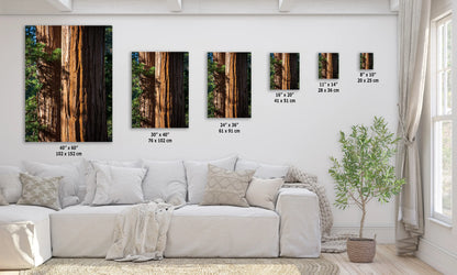 a living room with a white couch and three pictures on the wall