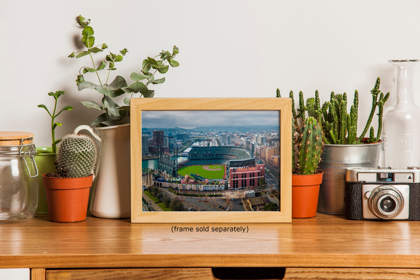 A framed photograph of a baseball stadium is displayed on a wooden shelf, surrounded by various potted plants and other decorative items.