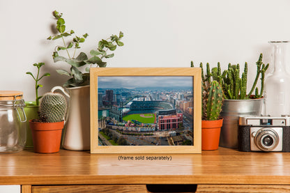 A framed photograph of a baseball stadium is displayed on a wooden shelf, surrounded by various potted plants and other decorative items.