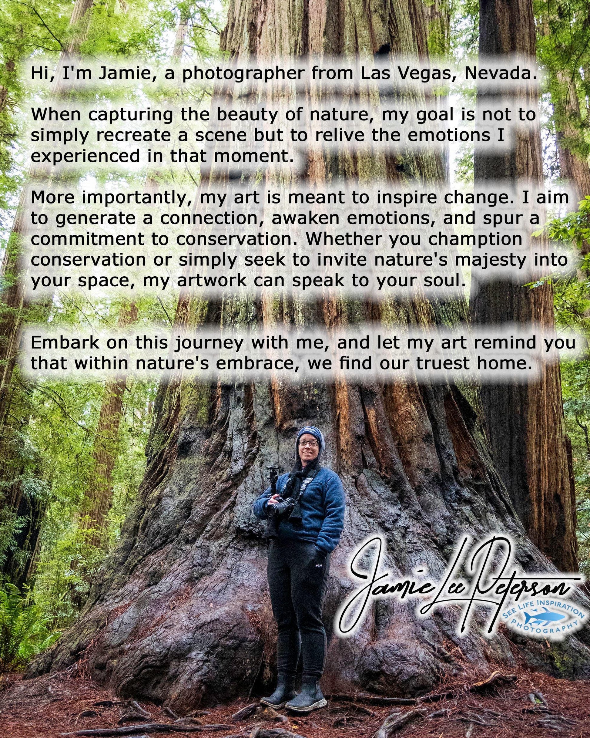 A heartfelt message from Jamie, a nature photographer, against a backdrop of majestic redwoods, underscoring her passion for conservation and the emotional depth of her art.