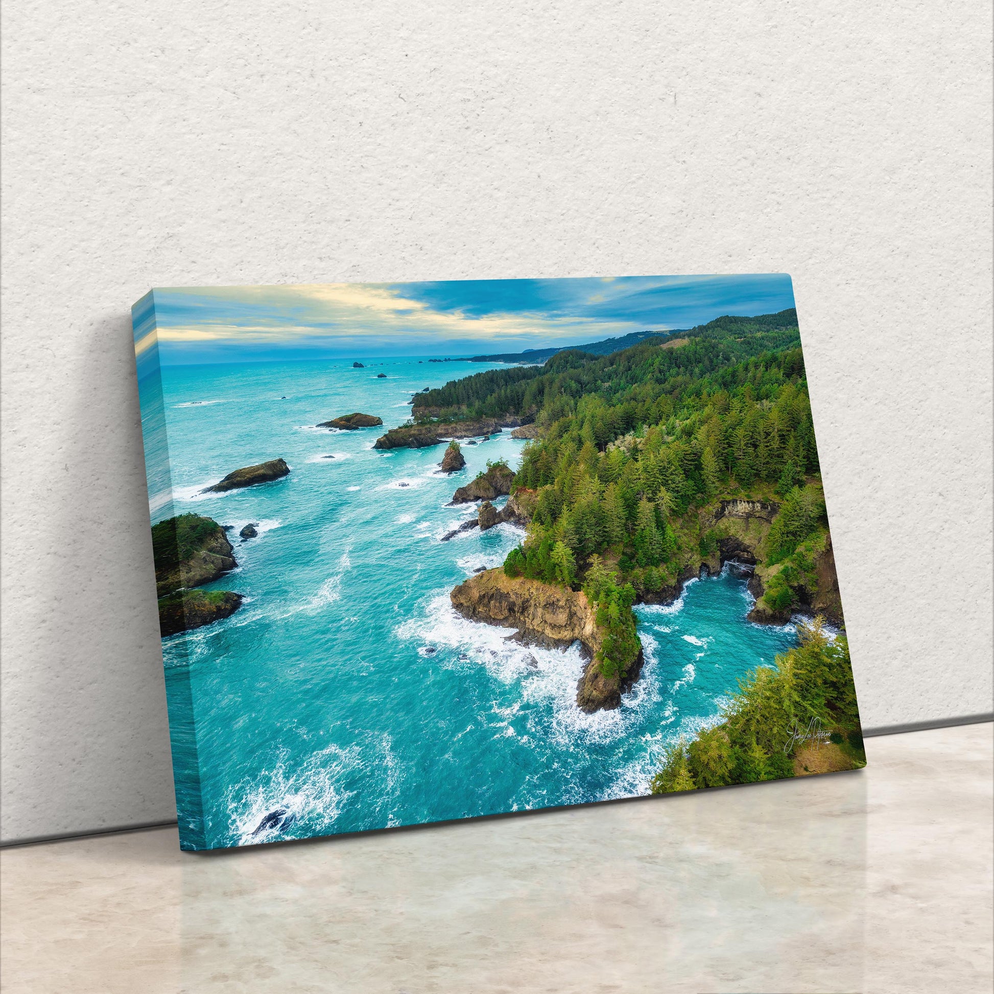 an aerial view of the ocean and a beach