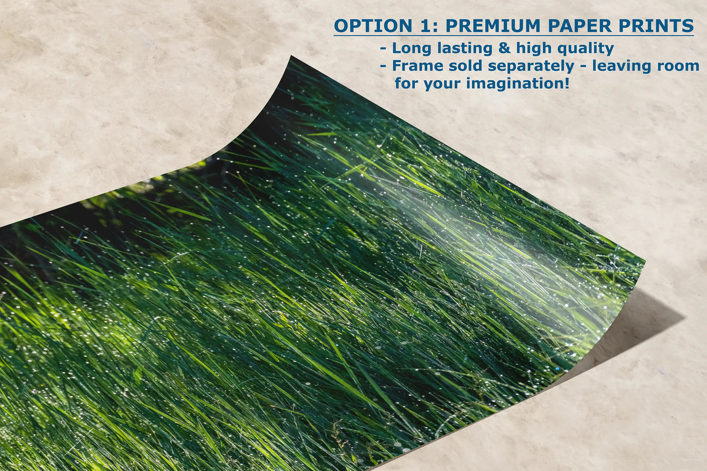 a picture of a grass field with the text option 1 premium paper prints