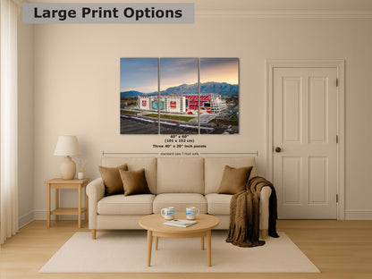 San Francisco 49ers Football Stadium Wall Art | Levi's Stadium Bay Area Decor NFL Fan Gift for Man Cave or Game Room
