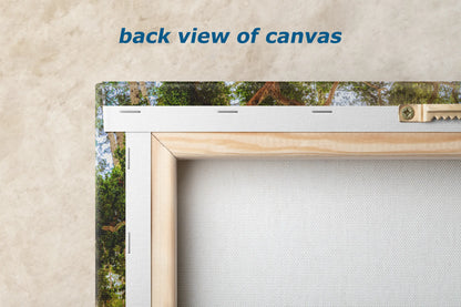 the back view of a picture frame with trees in the background