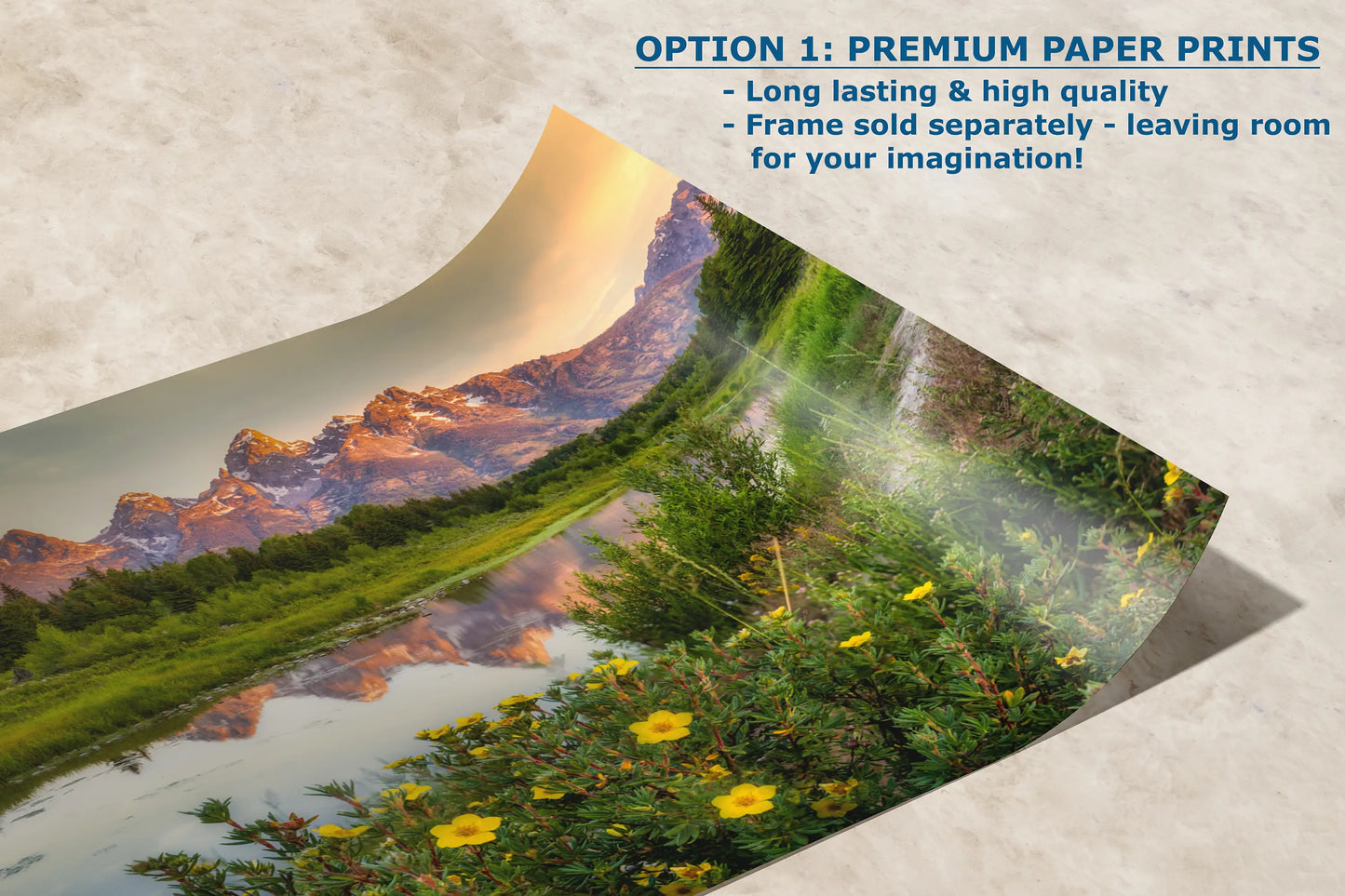 a picture of a mountain range is shown with the text option 1 premium paper prints