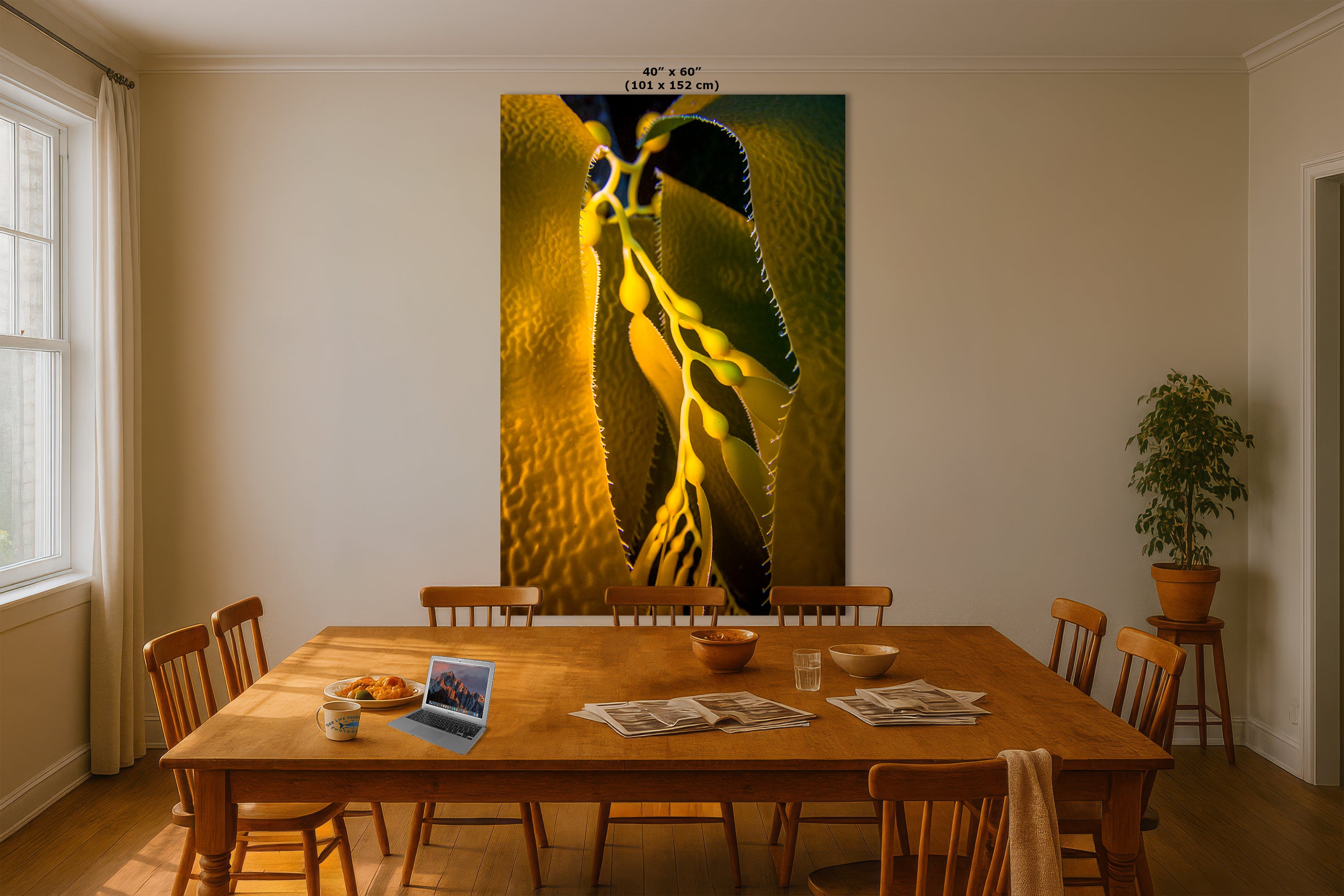 Kelp Forest Seaweed Pictures Underwater Scenery, Ocean Life Marine Life Decor, Nature Photo, Under the Sea Wall Art, Marine Biology Gift