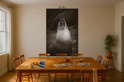 California Sea Lion Marine Mammal Wildlife Photography, Ocean Animals, Coastal House Decor, Nature Lover Gift, Marine Biology Artwork