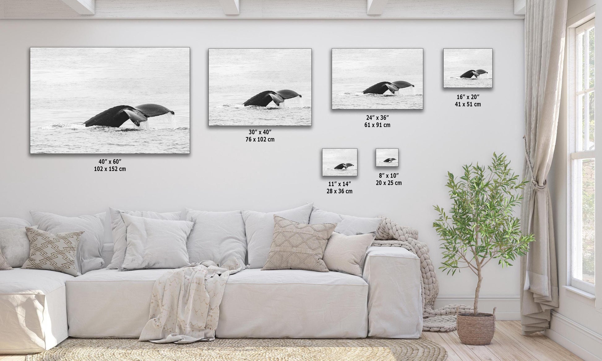 Multi-size diagram showcasing various available sizes of high-key black and white wall art featuring a humpback whale fluke.