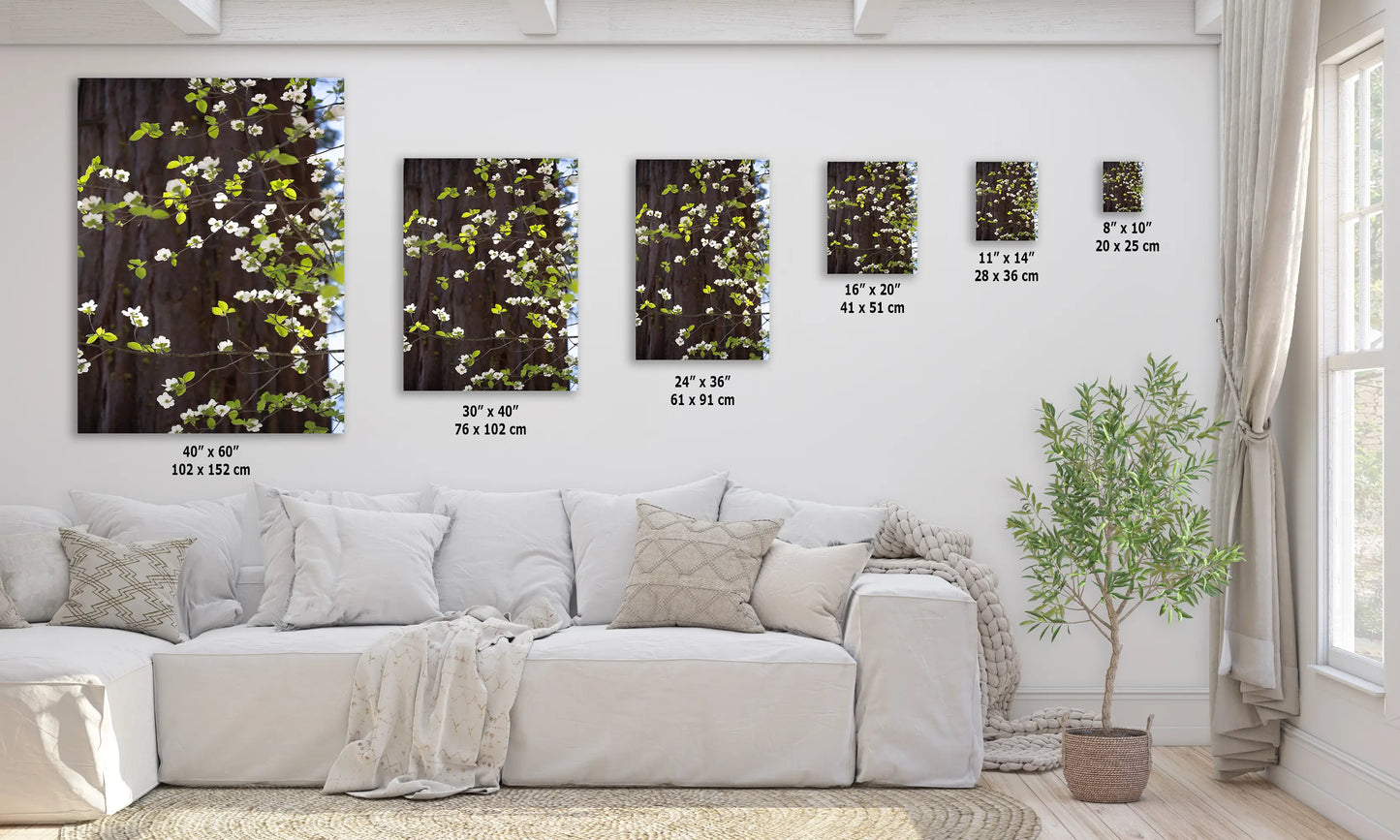 a living room with white furniture and paintings on the wall