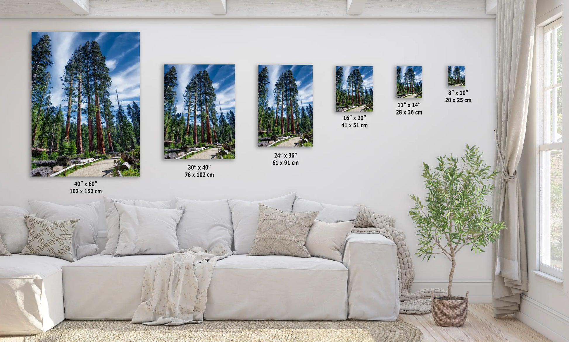 a living room with a white couch and three pictures on the wall