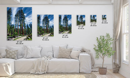 a living room with a white couch and three pictures on the wall