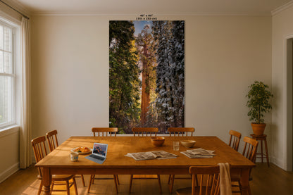 Giant Sequoia Tree Forest Picture Nature Photo, Redwood Tree Wall Art, Forest Bathing Decor, Bohemian Style Relaxation Artwork