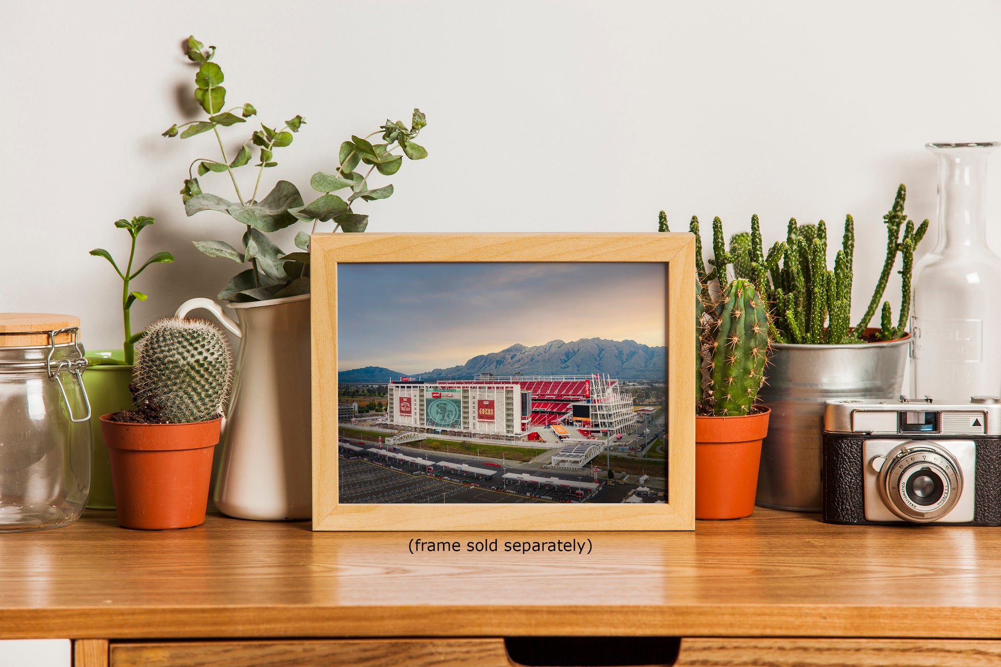 A framed photograph of a building is displayed on a wooden surface, surrounded by various potted plants and other decorative items.