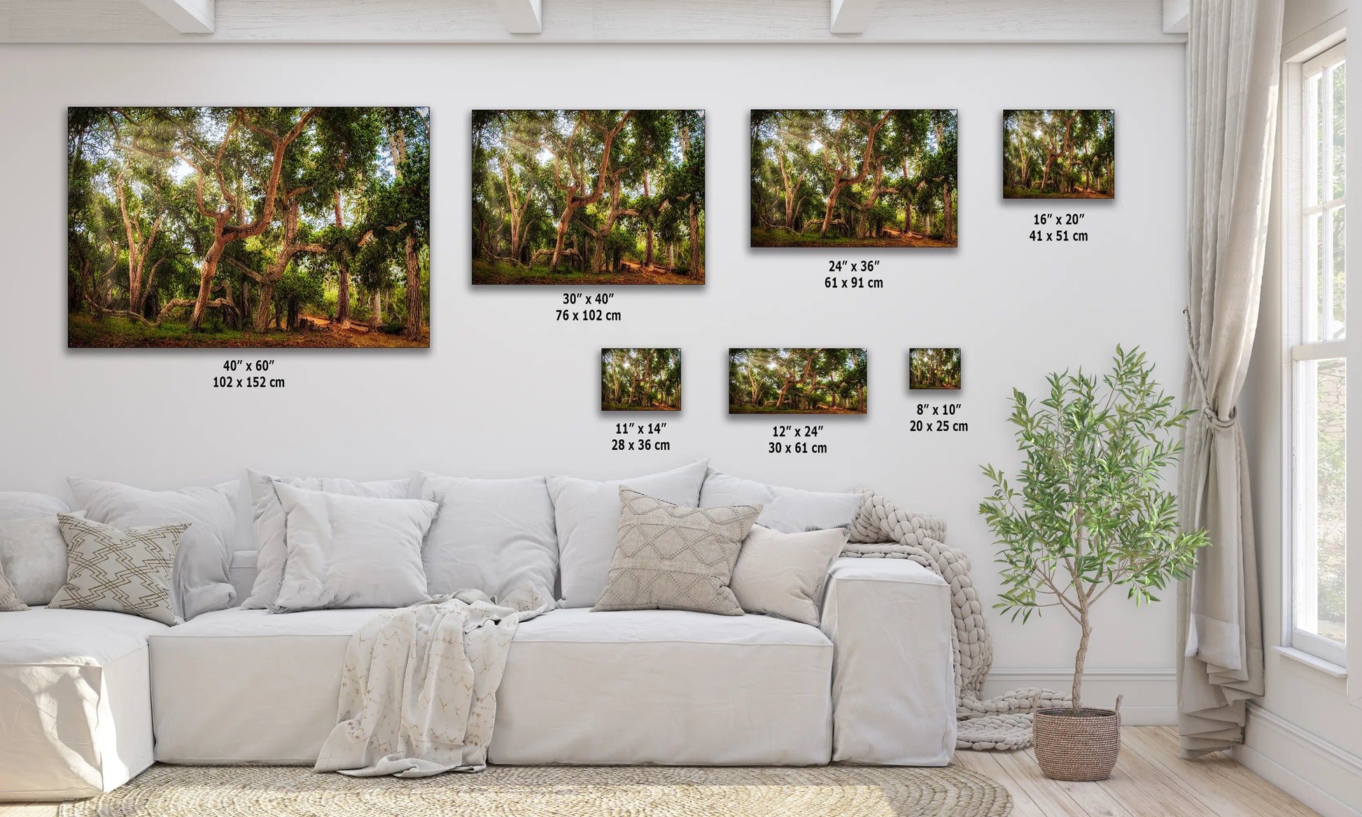 a living room with a white couch and paintings on the wall