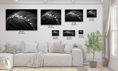 a living room with a white couch and three black and white pictures on the wall