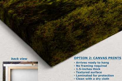 Yosemite National Park Waterfall Picture Nature Photo Bohemian Relaxation Artwork for Meditation