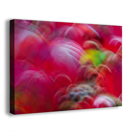 Fall Colors Forest Picture Impressionist Art, Nature Photo Relaxation Artwork, Forest Bathing Wall Decor for Bohemian Style House Decor