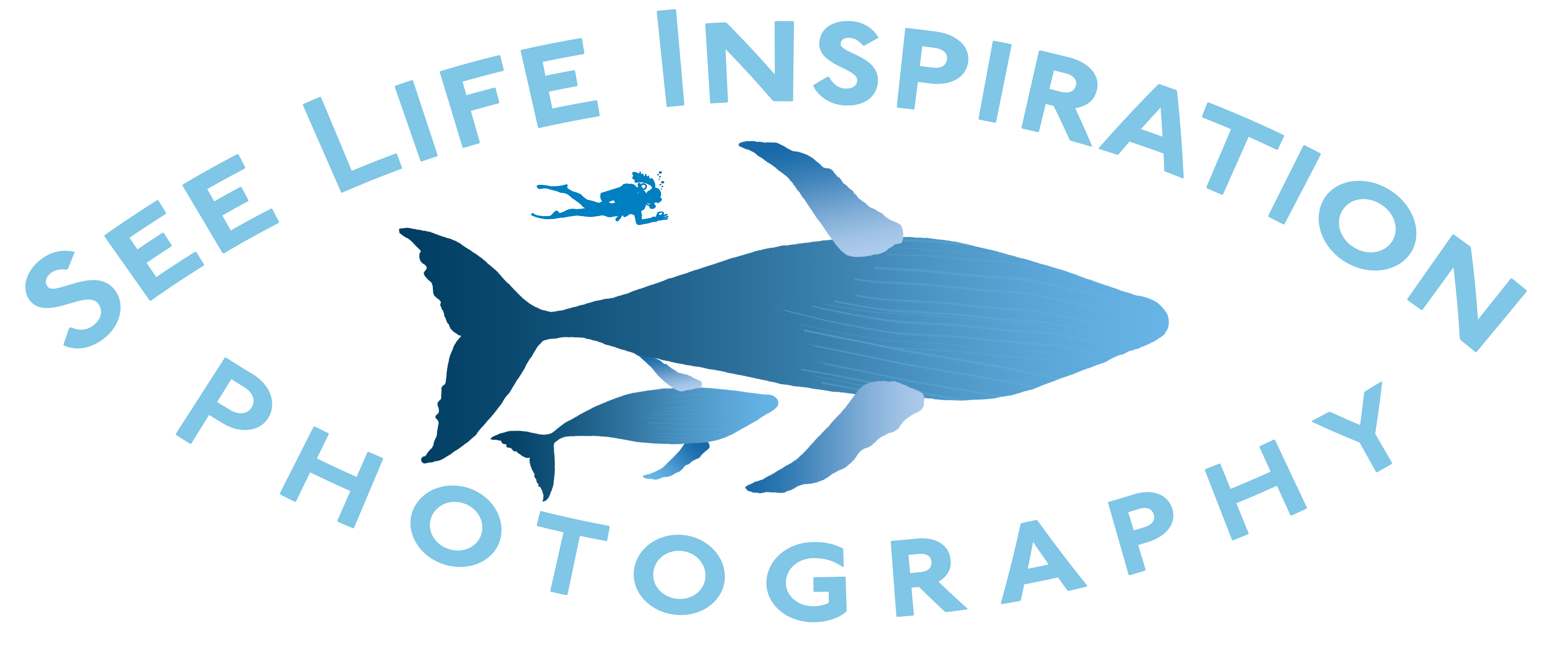See Life Inspiration Photography