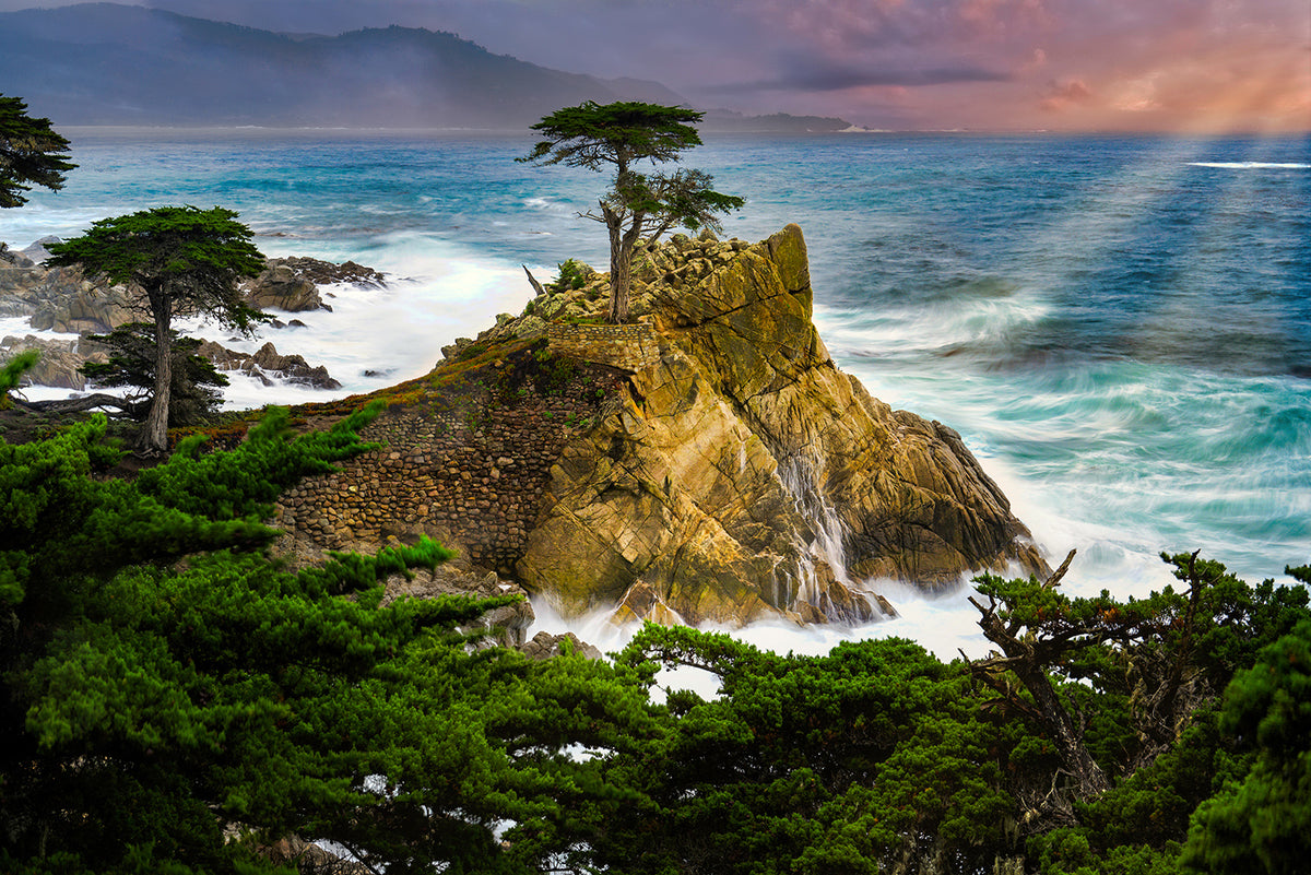 A dramatic coastal landscape print of the Lone Cypress tree showing a rocky cliff with a single cypress tree, turquoise ocean waves, dark green pines in the foreground, and a pink-purple sky with sun rays.