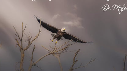 Myles Munroe Motivational Quote - Rise Above the Storm - Inspirational Wall Art, Peaceful Nature Photo Art