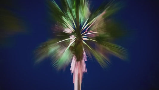Palm Tree Forest Picture Impressionist Art Nature Photo Relaxation Artwork | Bohemian Style for Meditation, Office, & House Decor