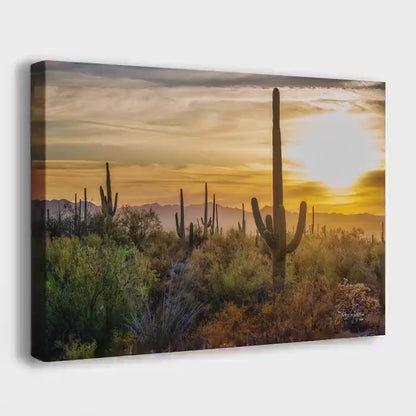 Saguaro National Park Arizona Desert Picture Sunset Nature Photo, Bohemian Style Relaxation Artwork, Southwestern Sonoran Desert House Decor