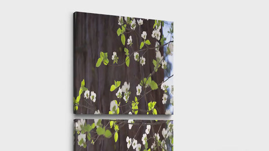 Pacific Dogwood Forest Picture Nature Photo | Yosemite Nature Canvas Print, Forest Bathing for Meditation, Relaxation, Dorm Room Decor