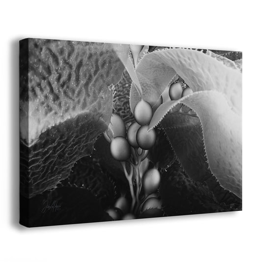 Surrender | Black & White Underwater Photograph, Limited Edition Ocean Fine Art